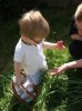 oeufsdepques2011051.jpg